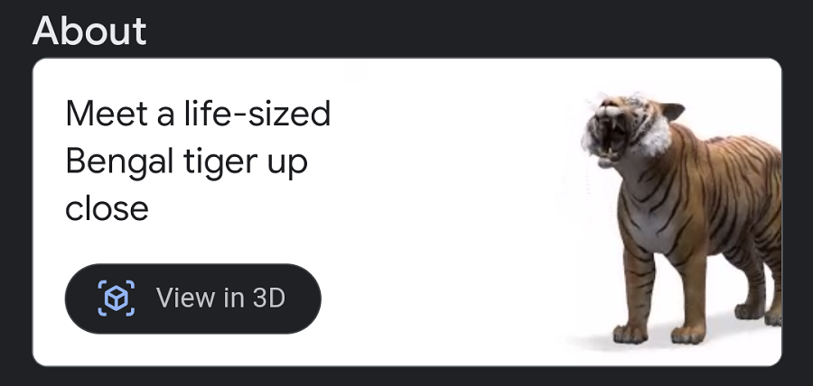 Google 'View in 3D' Animals AR Feature Video Tutorial: Step by Step Guide  on How to Click Photos With Lion, Giant Panda, Tiger, and Penguin in Your  Space