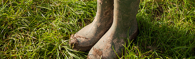 Winfields wellies hot sale